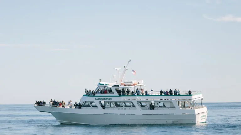 The Best Whale Watching Trips from Boothbay Harbor, Maine